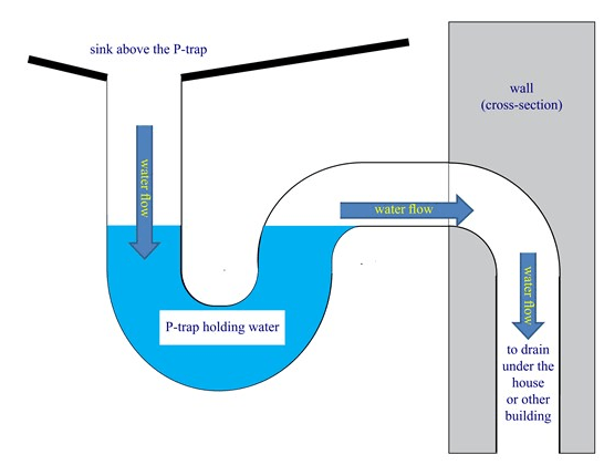 Plumbing P trap blocking sewage smell in bathroom toilets and sinks