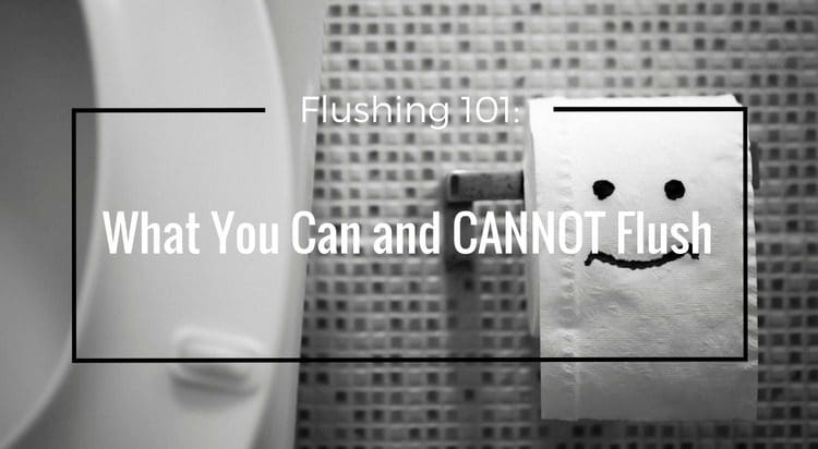 Flushing 101: What You Can and CANNOT Flush