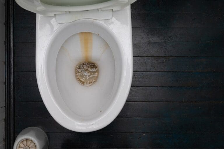 Bad Smell In The Toilet