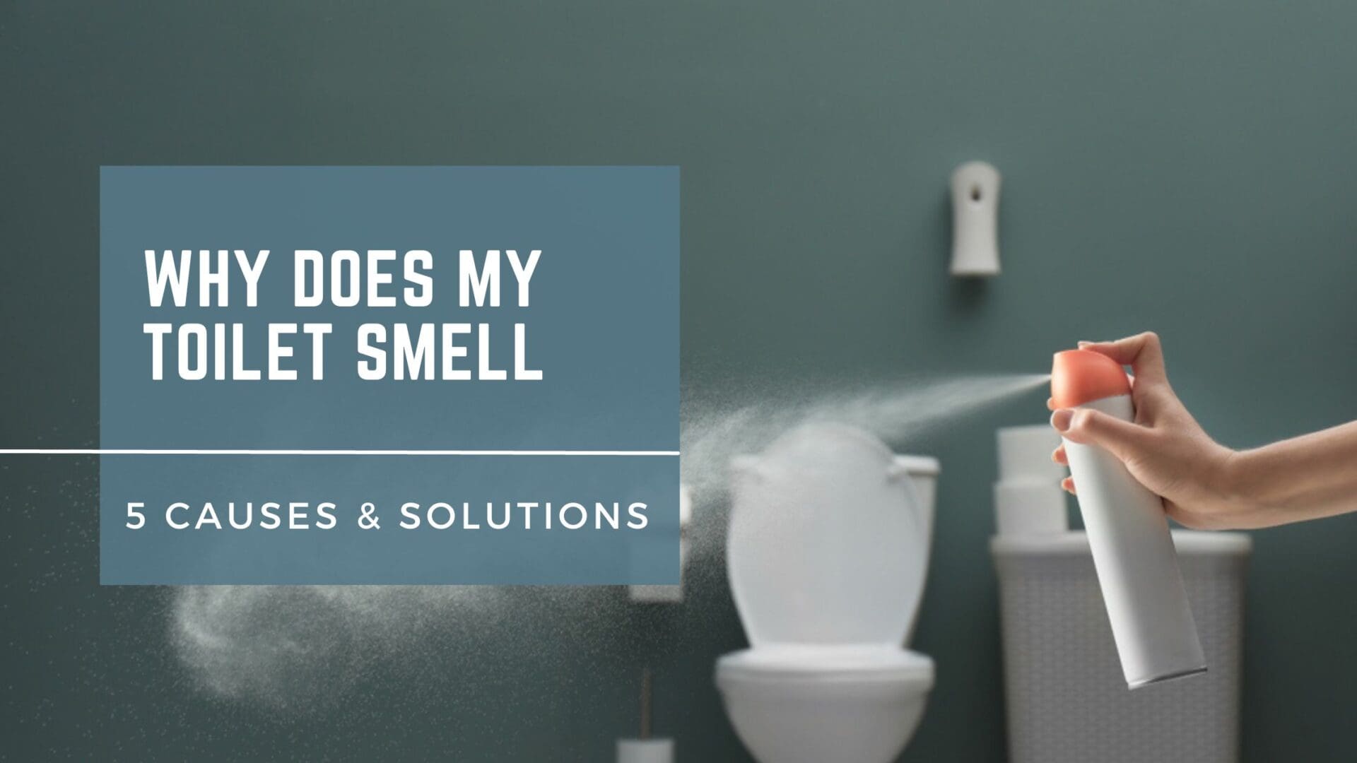 Why Does My Toilet Smell Like Sewage?