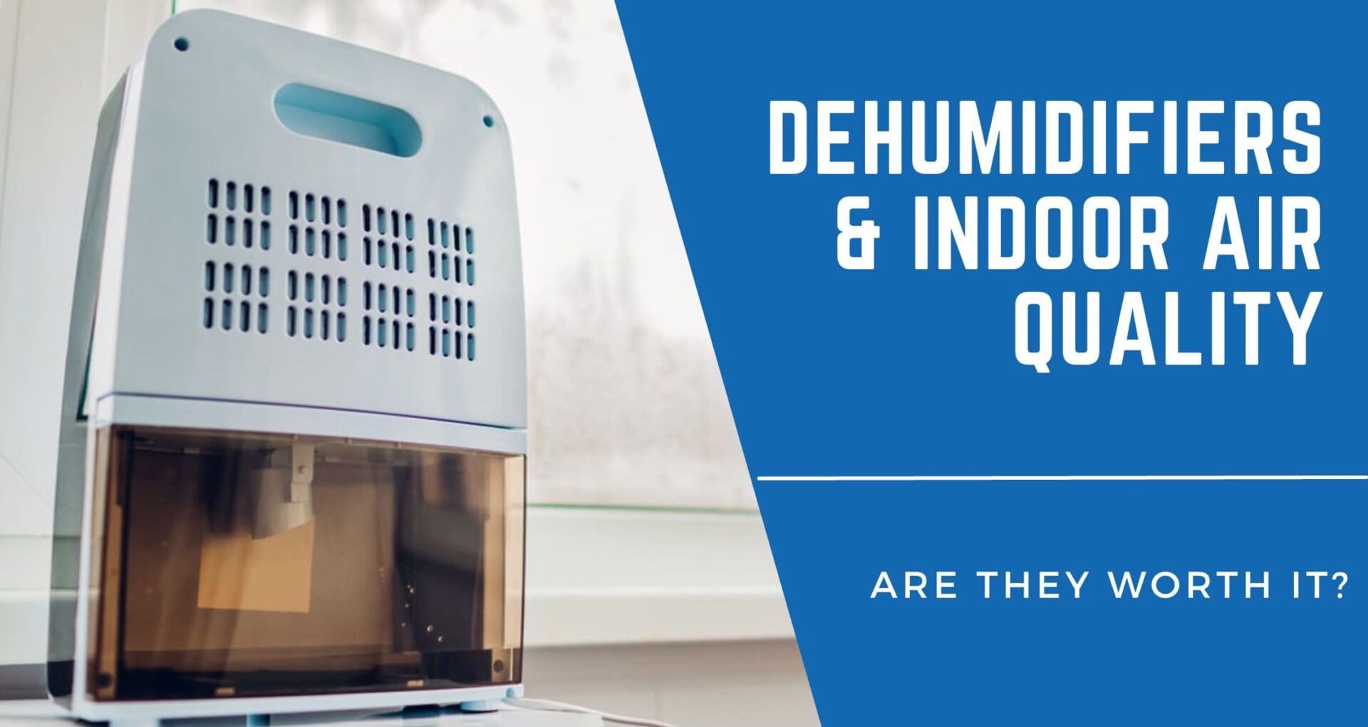 Dehumidifiers for Indoor Air Quality – Are They Worth It?